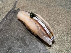 -银座岩