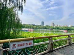 -莲花池公园