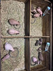 -酷嗒动物文化乐园(cutezoo西溪乐天城店)