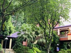 -麒麟中餐厅·经典粤菜·地道菜式老字号(广州长隆酒店)