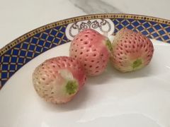 -尚田草莓姑娘白草莓采摘基地