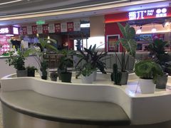 -茶芭蕾·新疆酸奶(美美1店)