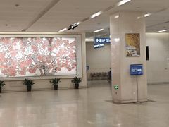-瑞金医院-门诊部