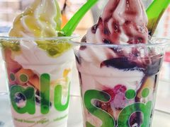 -Salud撒露欧洲冻酸奶(北苑上品店)