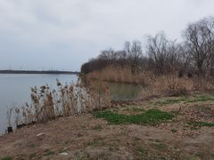 -南湖湿地公园