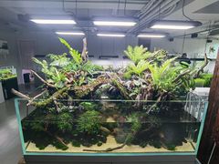-ADA自然水景世界