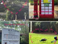 -深圳野生动物园