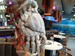 -蓝珊甄选海鲜自助·火锅大排档(近阿那亚店)