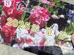 -南汇桃花村