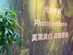 -悠乐汇