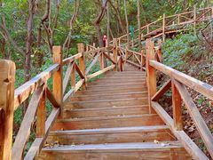 -大岭沟猕猴桃谷风景区