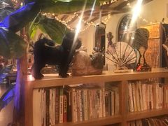 -月亮眼花园餐厅书吧酒吧