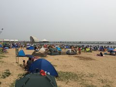 -碧海金沙