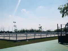 -上海崇明金茂凯悦酒店