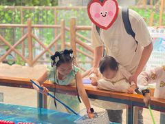 -杭州开元森泊度假乐园