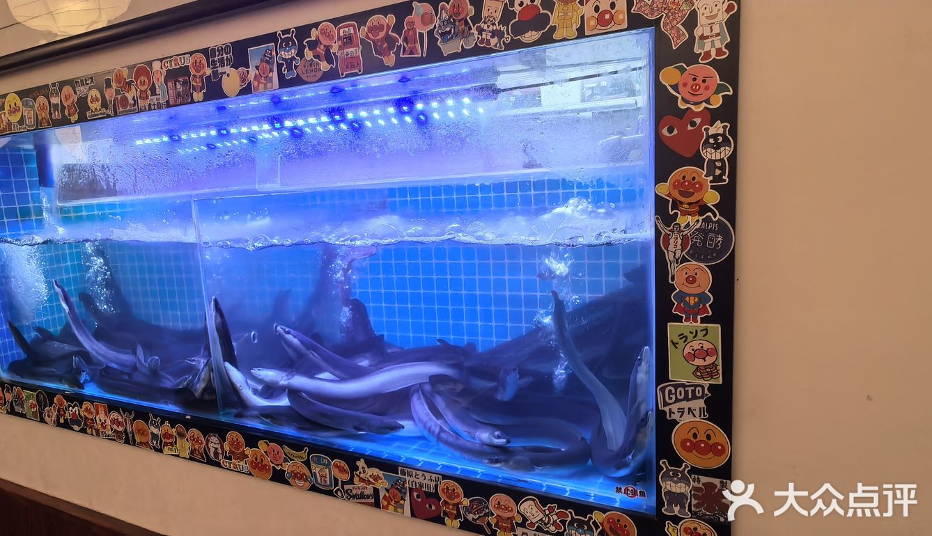 打卡新开的日式料理店