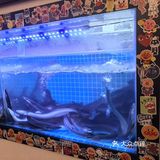打卡新开的日式料理店
