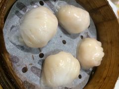 添好运点心专门店(北角店)-添好运点心专门店(北角店)
