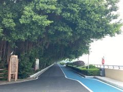-大湾区中央湿地公园