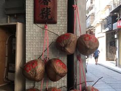 -洪馨椰子