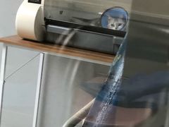 -谐和贝康宠物医院24小时·宠保定点(急重症转诊中心)