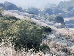 -广州市流溪河国家森林公园