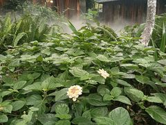 -大妙火锅·非物质文化遗产(东湖公园店)