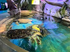 -多彩贵州城极地海洋世界