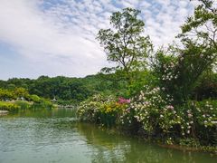 -南山风景名胜区