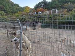 -北京山里寒舍度假酒店