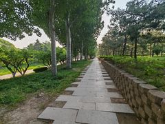 -元大都城垣遗址公园