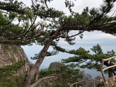 -黄山风景区