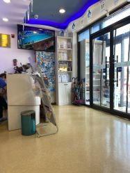 -月儿湾儿童游泳成长中心