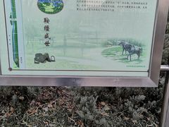 -元大都城垣遗址公园