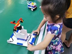 -中国宋庆龄青少年科技文化交流中心
