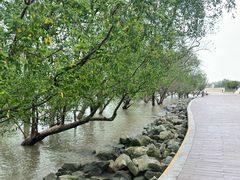 -宝安西湾红树林湿地公园