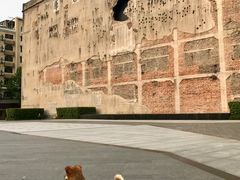 -上海四行仓库抗战纪念馆