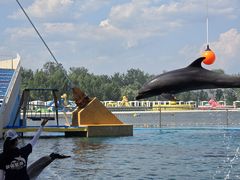 -秦皇岛乐岛海洋王国