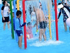 -海合安成都极地海洋公园