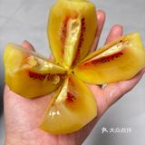 吃水果，补充活力满满