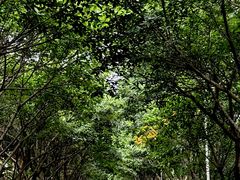 -成都工业学院(郫都校区)