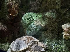 -大连老虎滩海洋公园