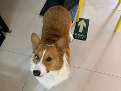 -平行世界·猫咖(首经贸店)