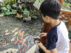 -道南書院·私房菜·早午茶·茶馆