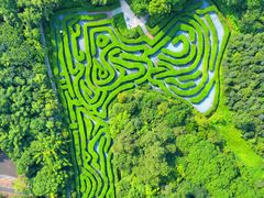 -大屏嶂森林公园