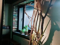 -可口香·非遗老号烧烤(南岗直营店)