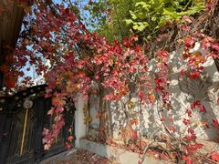 -大象厨房(重庆道店)