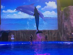 -华夏文旅海洋公园