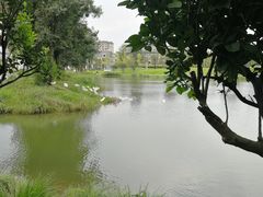 -两河城市森林公园