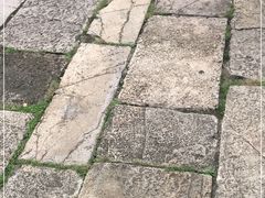 -龙潭水乡